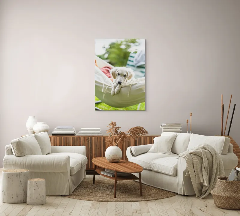 Tablou Canvas, "Cățelușul visător în hamac alb", Neștiință, Relaxare, Cățeluș, Hamac, Natură, Blândețe, Liniște, 70 x 100 cm – poza 4