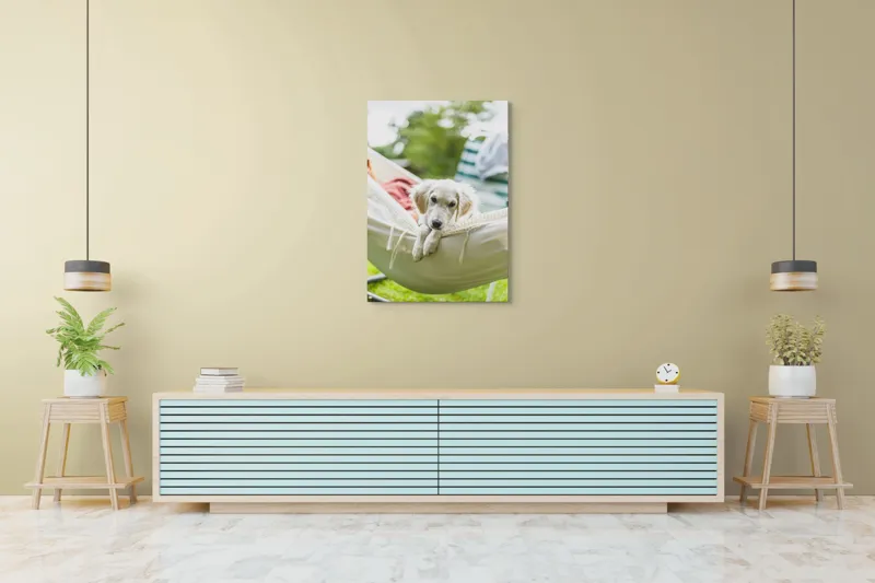 Tablou Canvas, "Cățelușul visător în hamac alb", Neștiință, Relaxare, Cățeluș, Hamac, Natură, Blândețe, Liniște, 70 x 100 cm – poza 5