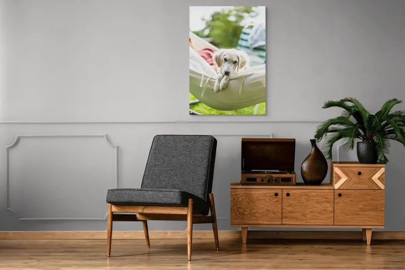 Tablou Canvas, "Cățelușul visător în hamac alb", Neștiință, Relaxare, Cățeluș, Hamac, Natură, Blândețe, Liniște, 70 x 100 cm – poza 6