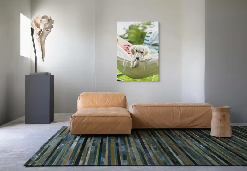 Tablou Canvas, "Cățelușul visător în hamac alb", Neștiință, Relaxare, Cățeluș, Hamac, Natură, Blândețe, Liniște, 70 x 100 cm – poza 7
