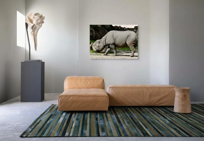 Tablou Canvas, "Rinocerul în habitatul său natural", Rhino, Piatra, Copaci, Umbre, Texturi, Nisip, Verdeață, Lumina, 100 x 70 cm – poza 7