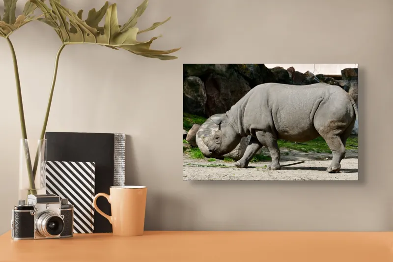 Tablou Canvas, "Rinocerul în habitatul său natural", Rhino, Piatra, Copaci, Umbre, Texturi, Nisip, Verdeață, Lumina, 39 x 26 cm – poza 3