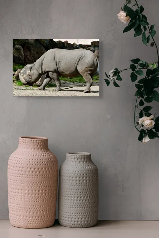 Tablou Canvas, "Rinocerul în habitatul său natural", Rhino, Piatra, Copaci, Umbre, Texturi, Nisip, Verdeață, Lumina, 39 x 26 cm – poza 4