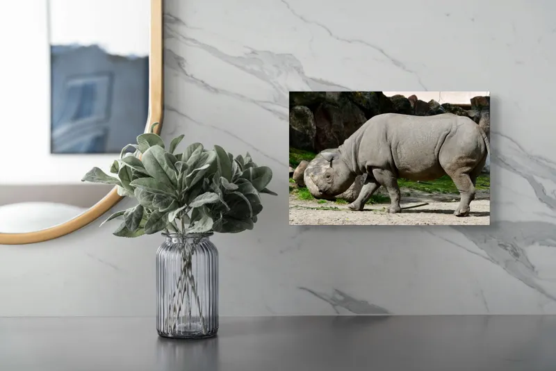 Tablou Canvas, "Rinocerul în habitatul său natural", Rhino, Piatra, Copaci, Umbre, Texturi, Nisip, Verdeață, Lumina, 39 x 26 cm – poza 5