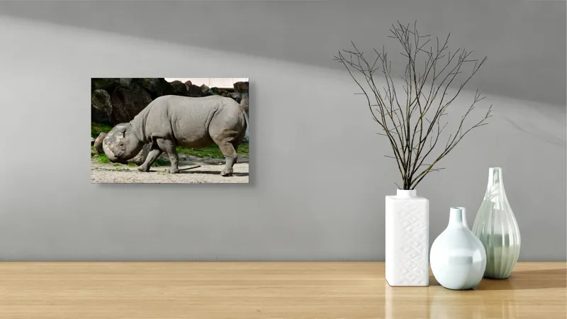 Tablou Canvas, "Rinocerul în habitatul său natural", Rhino, Piatra, Copaci, Umbre, Texturi, Nisip, Verdeață, Lumina, 39 x 26 cm – poza 8
