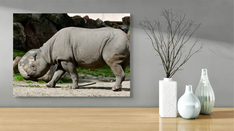 Tablou Canvas, "Rinocerul în habitatul său natural", Rhino, Piatra, Copaci, Umbre, Texturi, Nisip, Verdeață, Lumina, 70 x 50 cm – poza 3