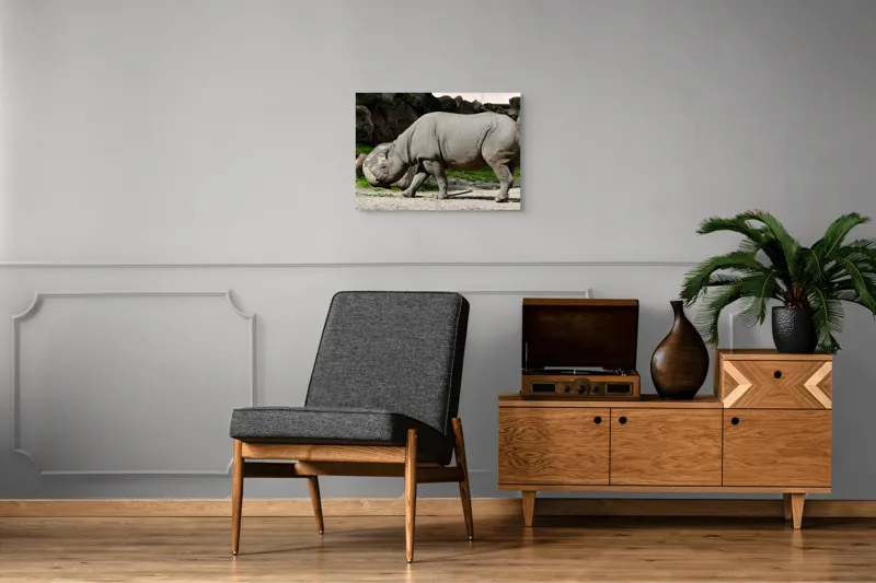 Tablou Canvas, "Rinocerul în habitatul său natural", Rhino, Piatra, Copaci, Umbre, Texturi, Nisip, Verdeață, Lumina, 70 x 50 cm – poza 4
