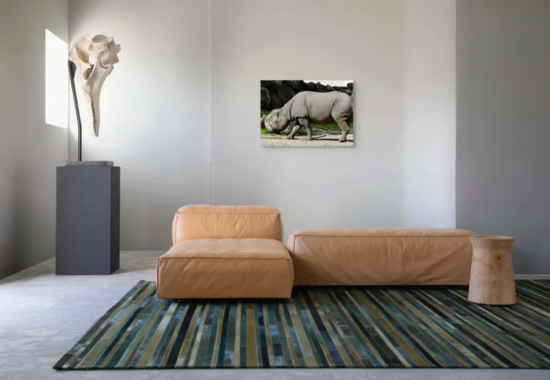 Tablou Canvas, "Rinocerul în habitatul său natural", Rhino, Piatra, Copaci, Umbre, Texturi, Nisip, Verdeață, Lumina, 70 x 50 cm – poza 8
