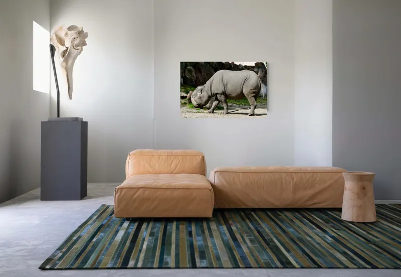 Tablou Canvas, "Rinocerul în habitatul său natural", Rhino, Piatra, Copaci, Umbre, Texturi, Nisip, Verdeață, Lumina, 90 x 50 cm – poza 8