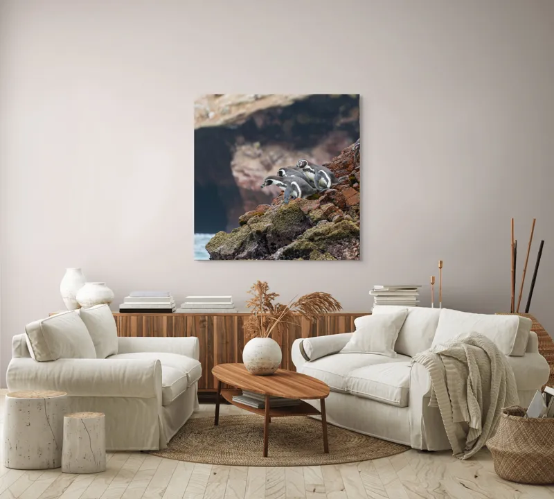 Tablou Canvas, "Pinguinii așteaptă valul potrivit", Pinguini, Stânci, Ocean, Grote, Natură, Apă, Rezervație, Habitat, Pene, Animale, 100 x 100 cm – poza 3