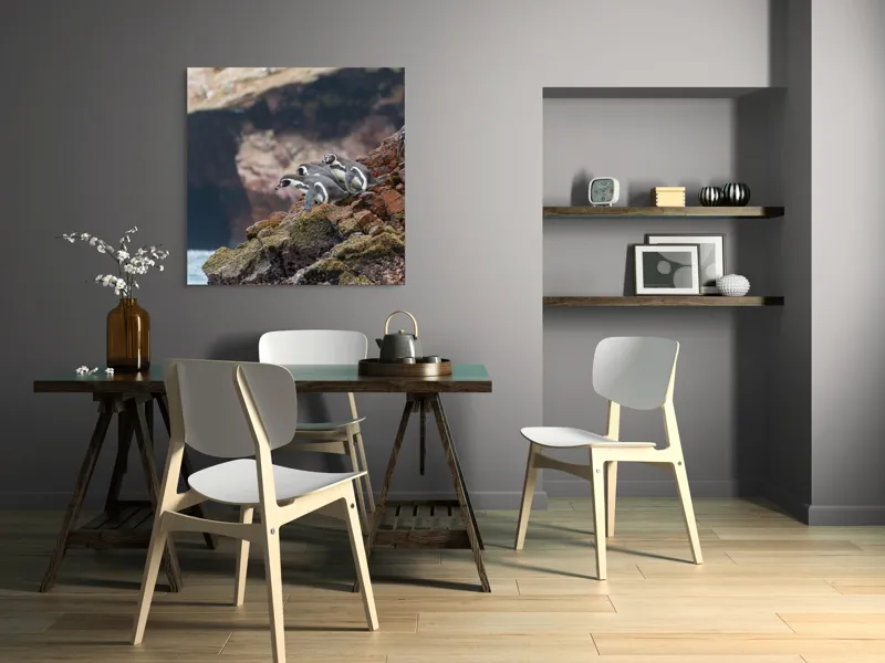 Tablou Canvas, "Pinguinii așteaptă valul potrivit", Pinguini, Stânci, Ocean, Grote, Natură, Apă, Rezervație, Habitat, Pene, Animale, 100 x 100 cm – poza 6