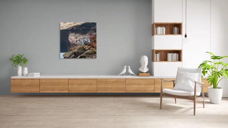 Tablou Canvas, "Pinguinii așteaptă valul potrivit", Pinguini, Stânci, Ocean, Grote, Natură, Apă, Rezervație, Habitat, Pene, Animale, 100 x 100 cm – poza 8