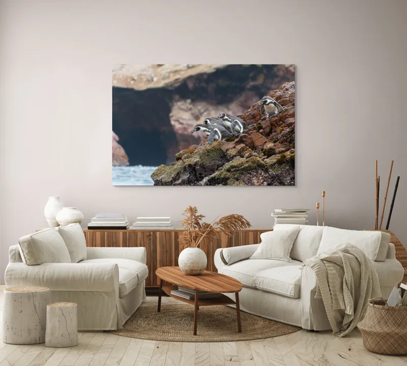 Tablou Canvas, "Pinguinii așteaptă valul potrivit", Pinguini, Stânci, Ocean, Grote, Natură, Apă, Rezervație, Habitat, Pene, Animale, 150 x 100 cm – poza 3