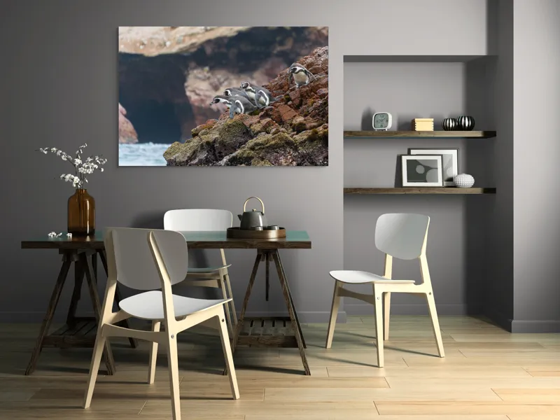 Tablou Canvas, "Pinguinii așteaptă valul potrivit", Pinguini, Stânci, Ocean, Grote, Natură, Apă, Rezervație, Habitat, Pene, Animale, 150 x 100 cm – poza 5