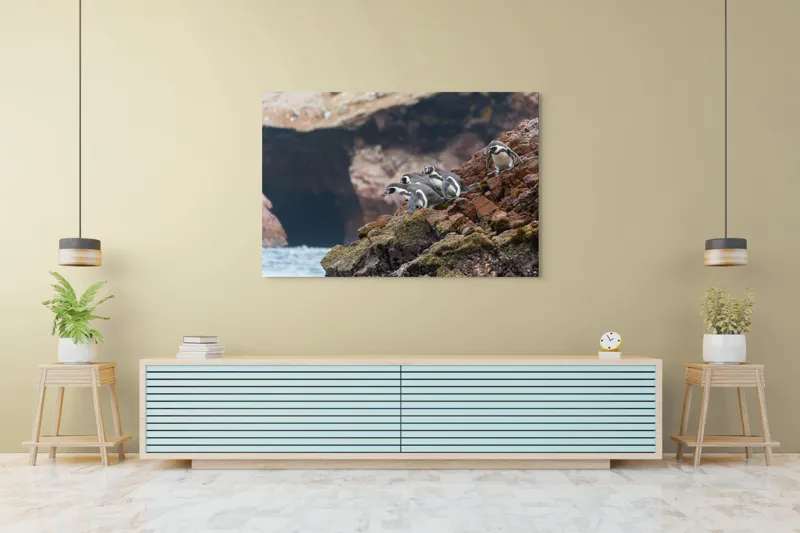 Tablou Canvas, "Pinguinii așteaptă valul potrivit", Pinguini, Stânci, Ocean, Grote, Natură, Apă, Rezervație, Habitat, Pene, Animale, 150 x 100 cm – poza 6