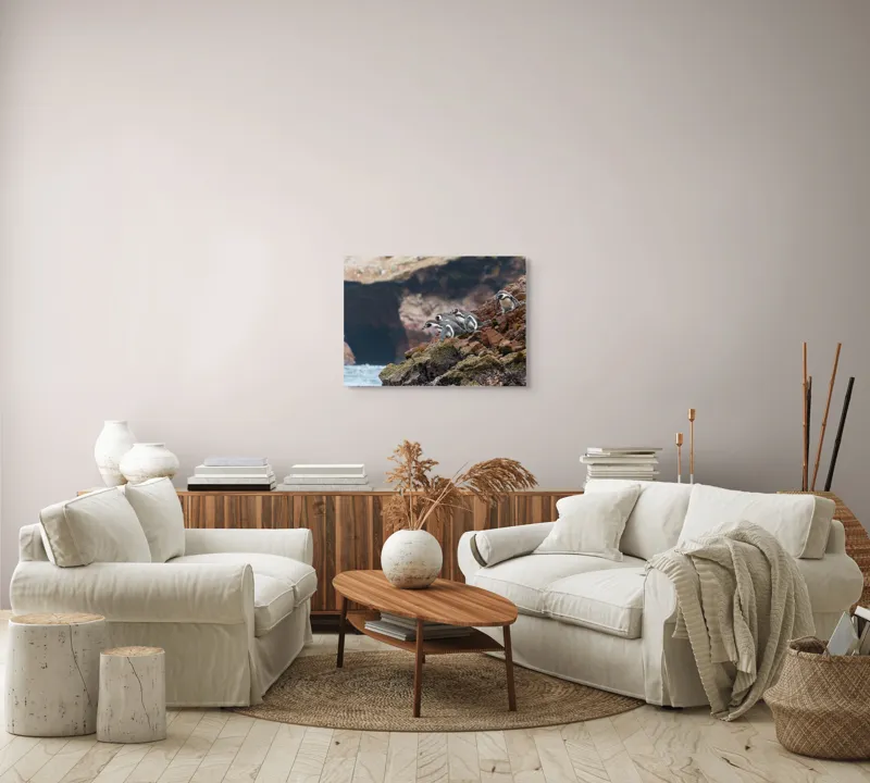 Tablou Canvas, "Pinguinii așteaptă valul potrivit", Pinguini, Stânci, Ocean, Grote, Natură, Apă, Rezervație, Habitat, Pene, Animale, 70 x 50 cm – poza 6