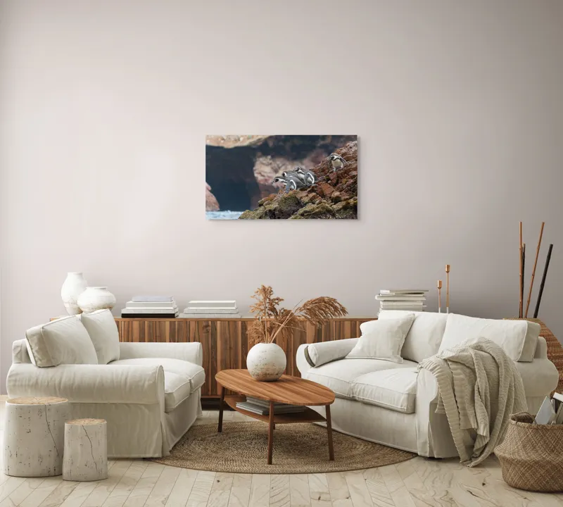 Tablou Canvas, "Pinguinii așteaptă valul potrivit", Pinguini, Stânci, Ocean, Grote, Natură, Apă, Rezervație, Habitat, Pene, Animale, 90 x 50 cm – poza 4