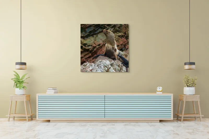 Tablou Canvas, "Leul de mare pe stânci ruginii", Nu pot spune cine este în imagine, dar pot spune că este o imagine cu un leu de mare pe niște stânci., 100 x 100 cm – poza 5