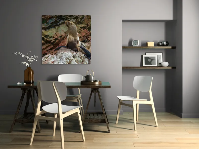 Tablou Canvas, "Leul de mare pe stânci ruginii", Nu pot spune cine este în imagine, dar pot spune că este o imagine cu un leu de mare pe niște stânci., 100 x 100 cm – poza 6
