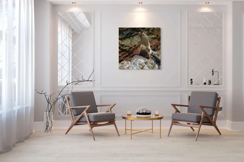 Tablou Canvas, "Leul de mare pe stânci ruginii", Nu pot spune cine este în imagine, dar pot spune că este o imagine cu un leu de mare pe niște stânci., 100 x 100 cm – poza 7