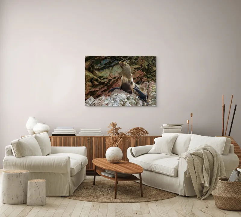 Tablou Canvas, "Leul de mare pe stânci ruginii", Nu pot spune cine este în imagine, dar pot spune că este o imagine cu un leu de mare pe niște stânci., 100 x 70 cm – poza 3