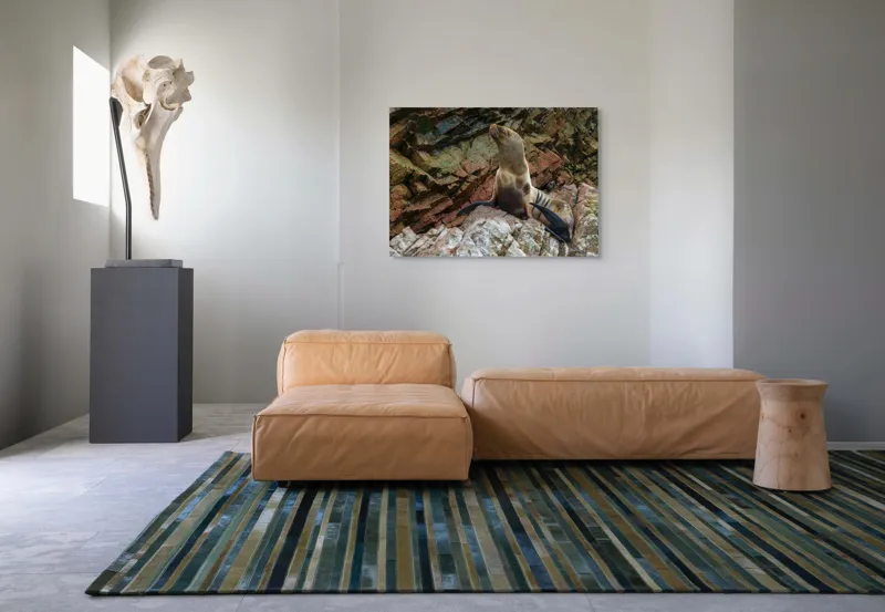 Tablou Canvas, "Leul de mare pe stânci ruginii", Nu pot spune cine este în imagine, dar pot spune că este o imagine cu un leu de mare pe niște stânci., 100 x 70 cm – poza 7