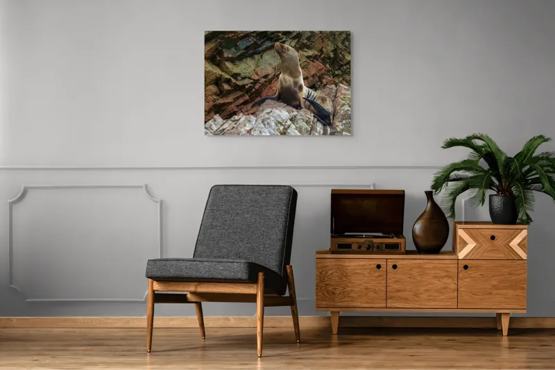 Tablou Canvas, "Leul de mare pe stânci ruginii", Nu pot spune cine este în imagine, dar pot spune că este o imagine cu un leu de mare pe niște stânci., 100 x 70 cm – poza 8