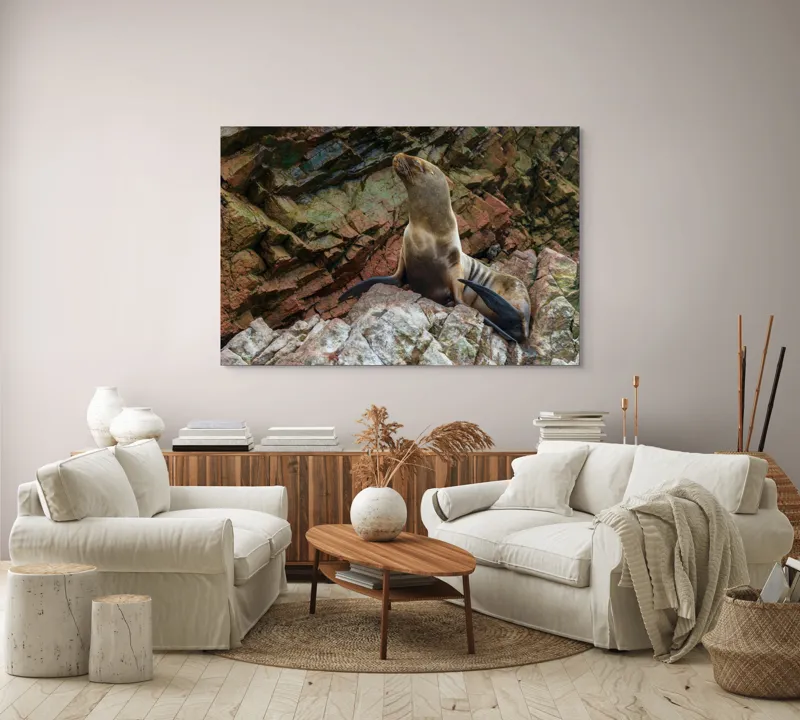 Tablou Canvas, "Leul de mare pe stânci ruginii", Nu pot spune cine este în imagine, dar pot spune că este o imagine cu un leu de mare pe niște stânci., 150 x 100 cm – poza 3