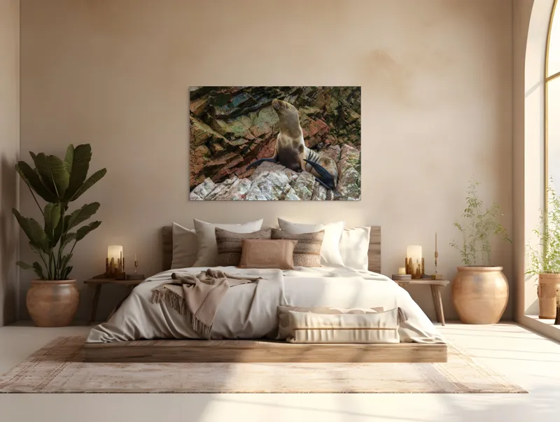 Tablou Canvas, "Leul de mare pe stânci ruginii", Nu pot spune cine este în imagine, dar pot spune că este o imagine cu un leu de mare pe niște stânci., 150 x 100 cm – poza 4