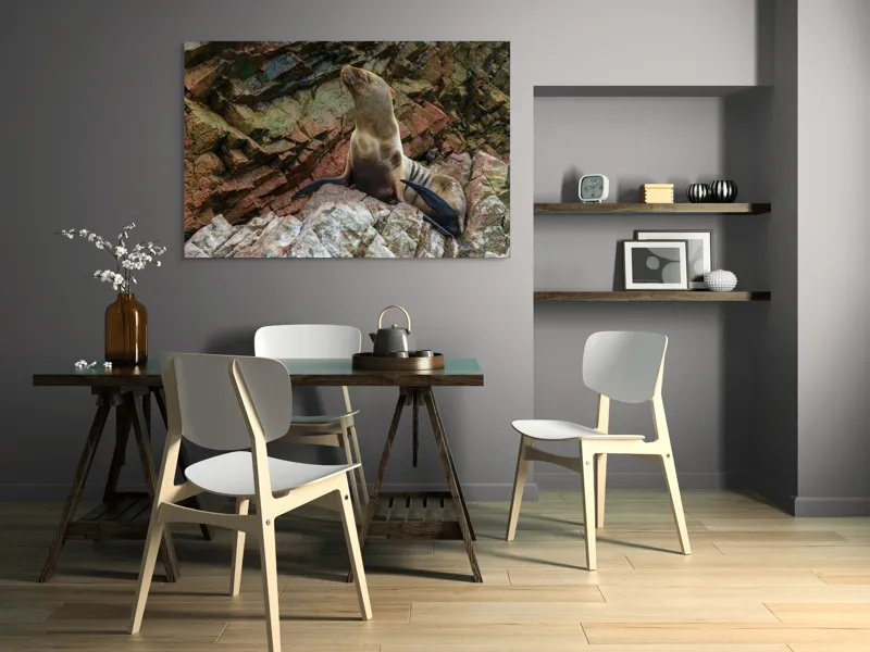 Tablou Canvas, "Leul de mare pe stânci ruginii", Nu pot spune cine este în imagine, dar pot spune că este o imagine cu un leu de mare pe niște stânci., 150 x 100 cm – poza 5