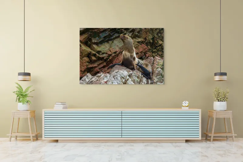 Tablou Canvas, "Leul de mare pe stânci ruginii", Nu pot spune cine este în imagine, dar pot spune că este o imagine cu un leu de mare pe niște stânci., 150 x 100 cm – poza 6