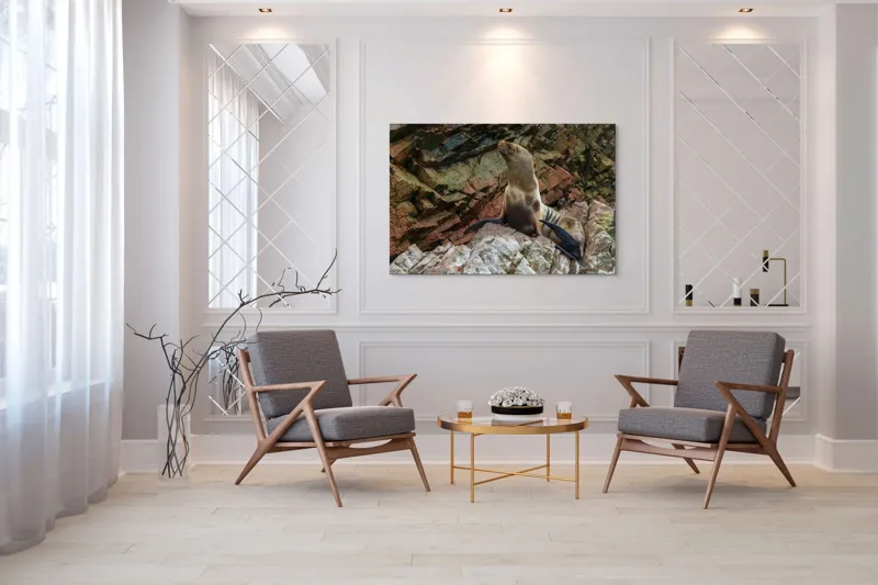 Tablou Canvas, "Leul de mare pe stânci ruginii", Nu pot spune cine este în imagine, dar pot spune că este o imagine cu un leu de mare pe niște stânci., 150 x 100 cm – poza 7