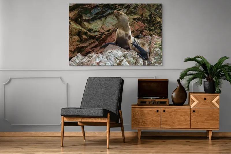 Tablou Canvas, "Leul de mare pe stânci ruginii", Nu pot spune cine este în imagine, dar pot spune că este o imagine cu un leu de mare pe niște stânci., 150 x 100 cm – poza 8