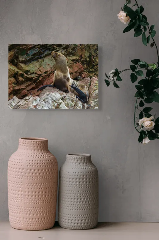 Tablou Canvas, "Leul de mare pe stânci ruginii", Nu pot spune cine este în imagine, dar pot spune că este o imagine cu un leu de mare pe niște stânci., 54 x 39 cm – poza 8