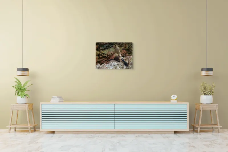 Tablou Canvas, "Leul de mare pe stânci ruginii", Nu pot spune cine este în imagine, dar pot spune că este o imagine cu un leu de mare pe niște stânci., 70 x 50 cm – poza 7