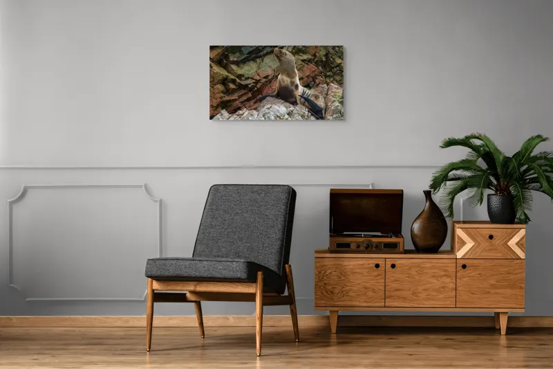 Tablou Canvas, "Leul de mare pe stânci ruginii", Nu pot spune cine este în imagine, dar pot spune că este o imagine cu un leu de mare pe niște stânci., 90 x 50 cm – poza 6