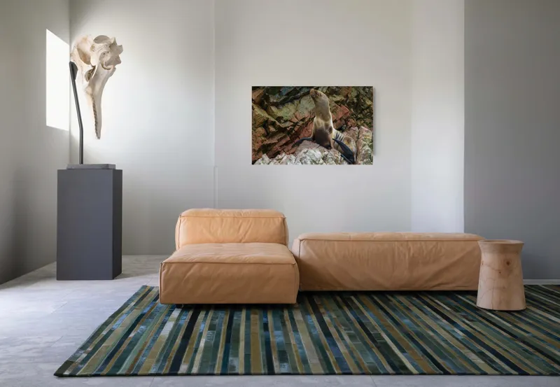 Tablou Canvas, "Leul de mare pe stânci ruginii", Nu pot spune cine este în imagine, dar pot spune că este o imagine cu un leu de mare pe niște stânci., 90 x 50 cm – poza 8