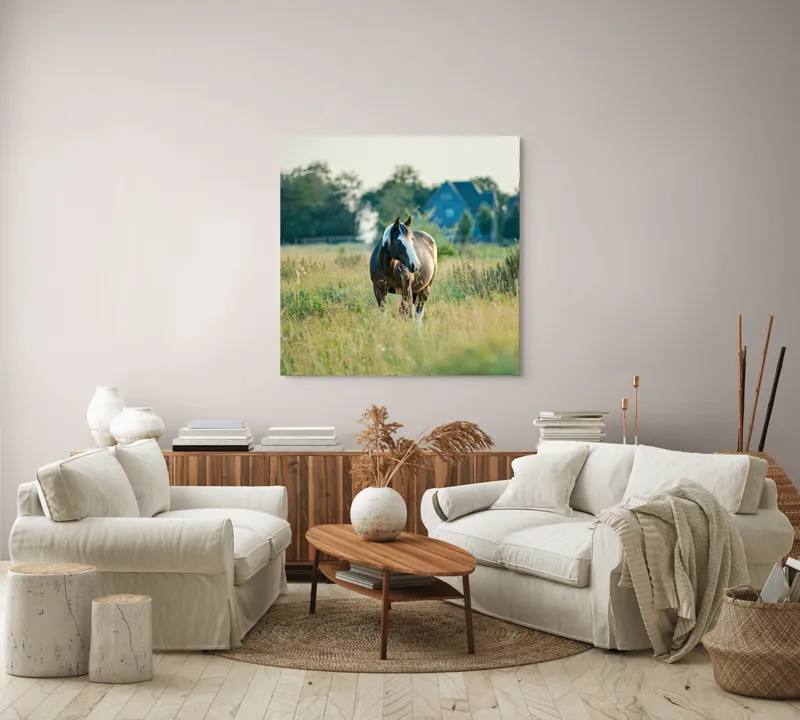Tablou Canvas, "Cal în câmpie la apusul soarelui", Calm, Natural, Verdeață, Serenitate, Cabalin, Rural, Peisaj, Soare, Liniște, Frumusețe., 100 x 100 cm – poza 3