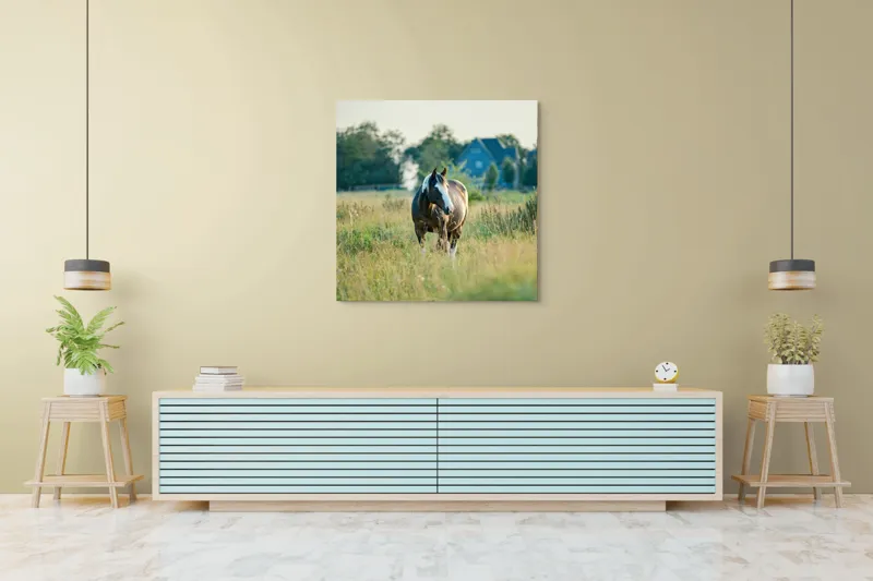 Tablou Canvas, "Cal în câmpie la apusul soarelui", Calm, Natural, Verdeață, Serenitate, Cabalin, Rural, Peisaj, Soare, Liniște, Frumusețe., 100 x 100 cm – poza 5
