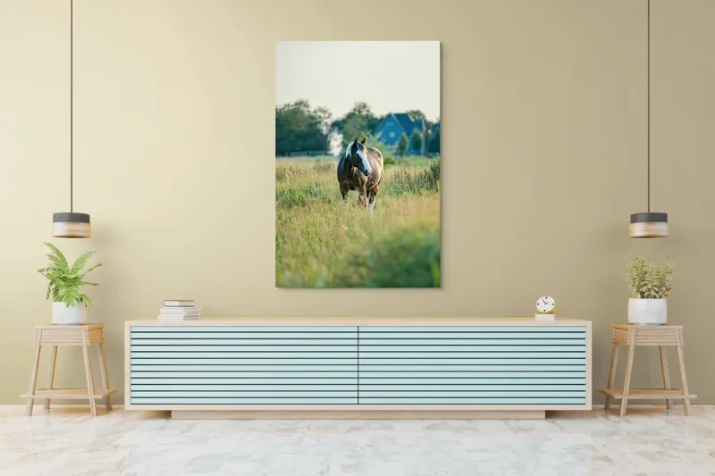 Tablou Canvas, "Cal în câmpie la apusul soarelui", Calm, Natural, Verdeață, Serenitate, Cabalin, Rural, Peisaj, Soare, Liniște, Frumusețe., 100 x 150 cm – poza 4