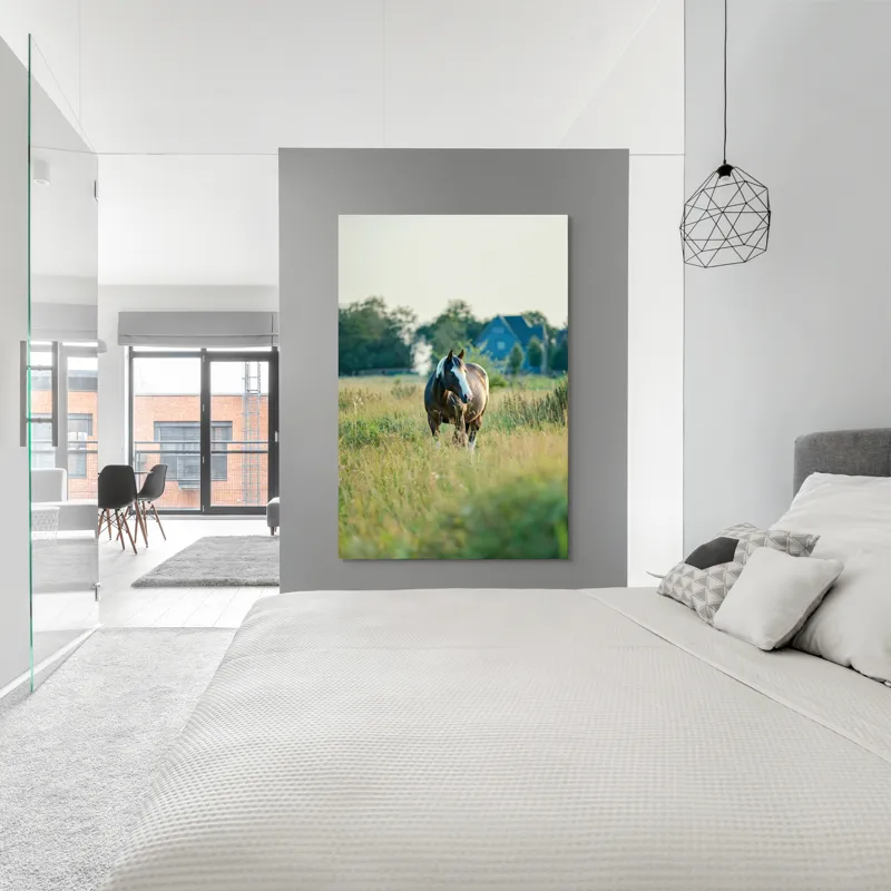 Tablou Canvas, "Cal în câmpie la apusul soarelui", Calm, Natural, Verdeață, Serenitate, Cabalin, Rural, Peisaj, Soare, Liniște, Frumusețe., 100 x 150 cm – poza 5