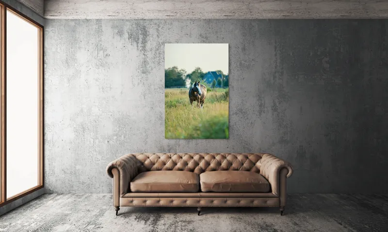 Tablou Canvas, "Cal în câmpie la apusul soarelui", Calm, Natural, Verdeață, Serenitate, Cabalin, Rural, Peisaj, Soare, Liniște, Frumusețe., 100 x 150 cm – poza 6