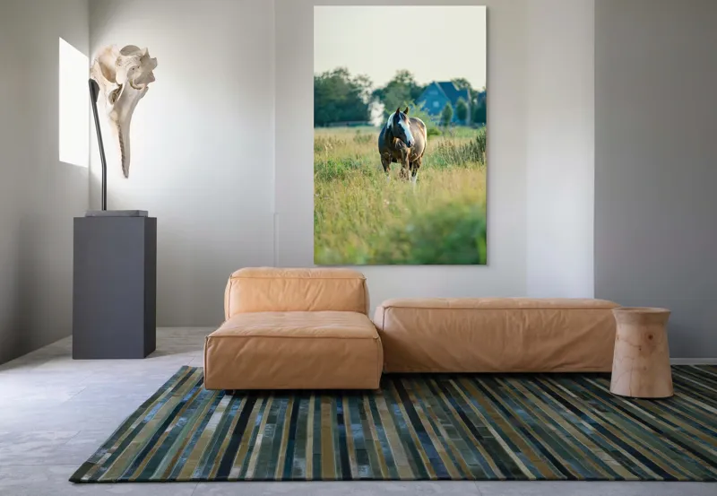 Tablou Canvas, "Cal în câmpie la apusul soarelui", Calm, Natural, Verdeață, Serenitate, Cabalin, Rural, Peisaj, Soare, Liniște, Frumusețe., 100 x 150 cm – poza 7