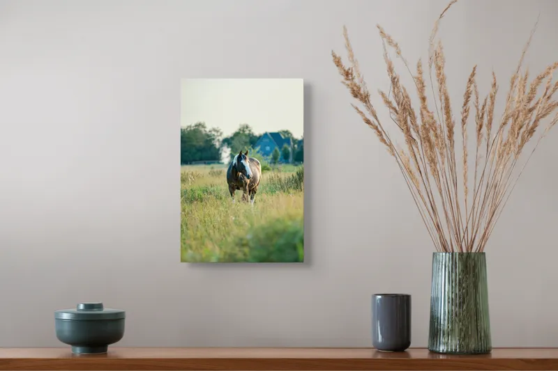 Tablou Canvas, "Cal în câmpie la apusul soarelui", Calm, Natural, Verdeață, Serenitate, Cabalin, Rural, Peisaj, Soare, Liniște, Frumusețe., 26 x 39 cm – poza 5