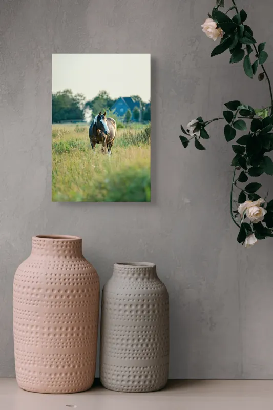 Tablou Canvas, "Cal în câmpie la apusul soarelui", Calm, Natural, Verdeață, Serenitate, Cabalin, Rural, Peisaj, Soare, Liniște, Frumusețe., 26 x 39 cm – poza 6