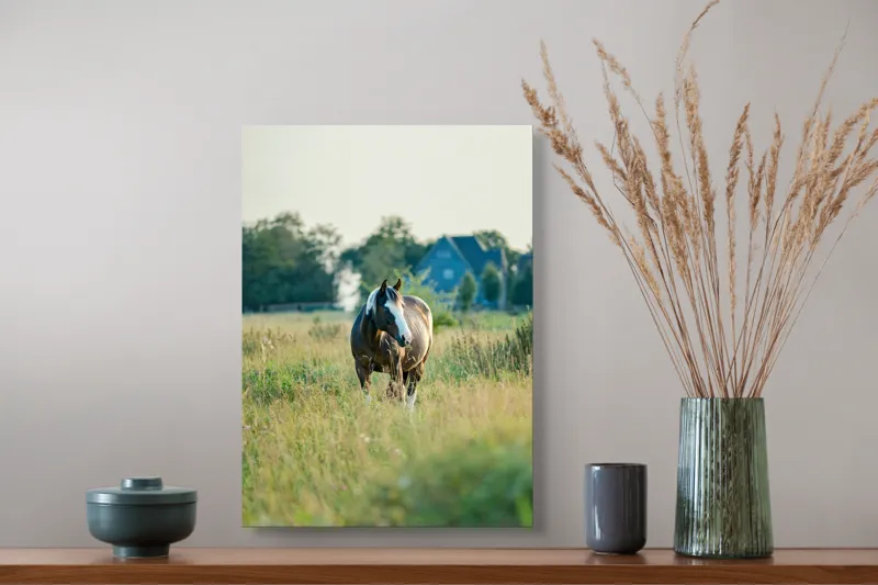 Tablou Canvas, "Cal în câmpie la apusul soarelui", Calm, Natural, Verdeață, Serenitate, Cabalin, Rural, Peisaj, Soare, Liniște, Frumusețe., 39 x 54 cm – poza 3