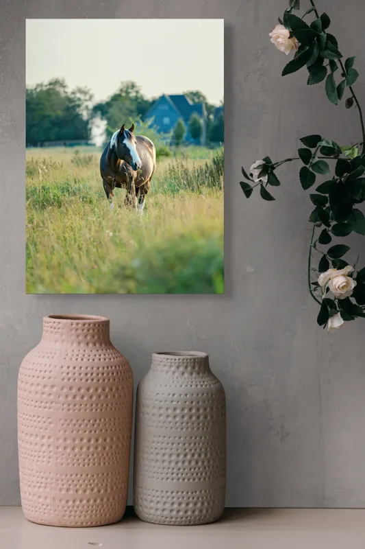 Tablou Canvas, "Cal în câmpie la apusul soarelui", Calm, Natural, Verdeață, Serenitate, Cabalin, Rural, Peisaj, Soare, Liniște, Frumusețe., 39 x 54 cm – poza 6