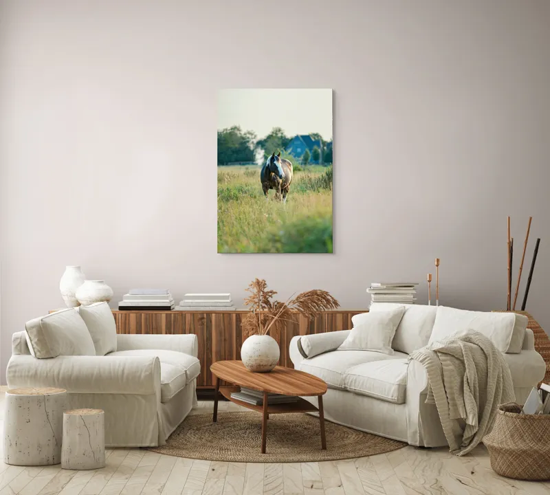 Tablou Canvas, "Cal în câmpie la apusul soarelui", Calm, Natural, Verdeață, Serenitate, Cabalin, Rural, Peisaj, Soare, Liniște, Frumusețe., 70 x 100 cm – poza 4
