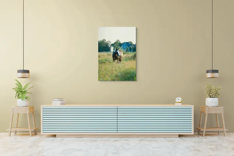 Tablou Canvas, "Cal în câmpie la apusul soarelui", Calm, Natural, Verdeață, Serenitate, Cabalin, Rural, Peisaj, Soare, Liniște, Frumusețe., 70 x 100 cm – poza 5