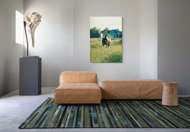 Tablou Canvas, "Cal în câmpie la apusul soarelui", Calm, Natural, Verdeață, Serenitate, Cabalin, Rural, Peisaj, Soare, Liniște, Frumusețe., 70 x 100 cm – poza 7